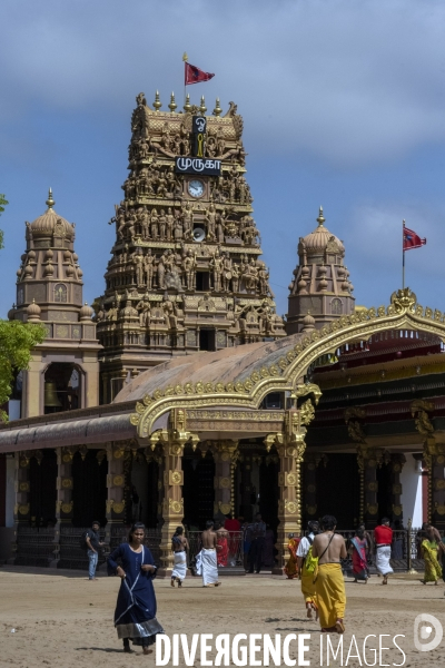 Sri lanka : festival de nallur kandaswamy à jaffna