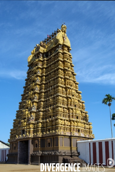 Sri lanka : festival de nallur kandaswamy à jaffna