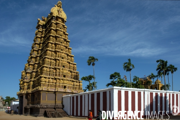 Sri lanka : festival de nallur kandaswamy à jaffna