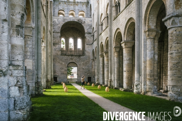 Abbaye Saint Pierre de Jumieges
