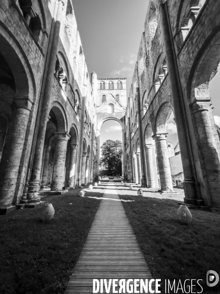 Abbaye Saint Pierre de Jumieges