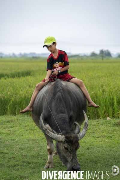 Vietnam - hue - pham enfant pêcheur