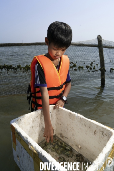 Vietnam - hue - pham enfant pêcheur