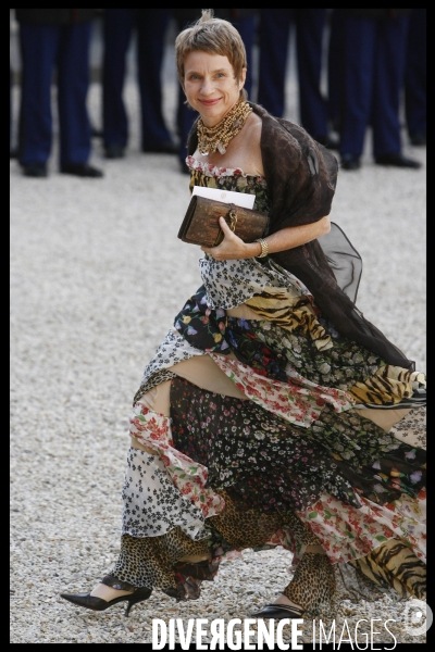 Diner officiel pour l emir du qatar a l elysee.