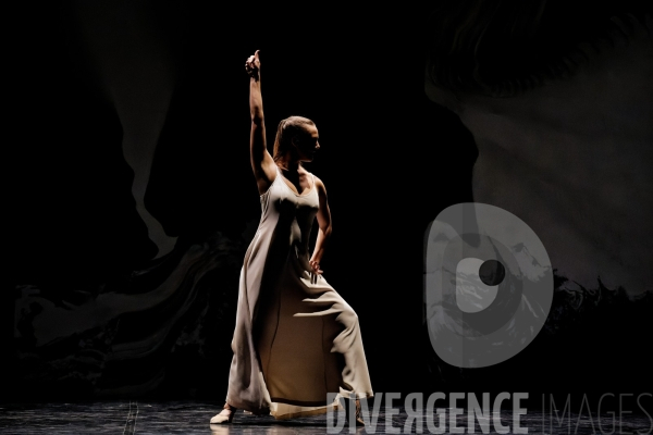 Opus / Jean-Philippe Rivière / Ballet de l Opéra national du Rhin