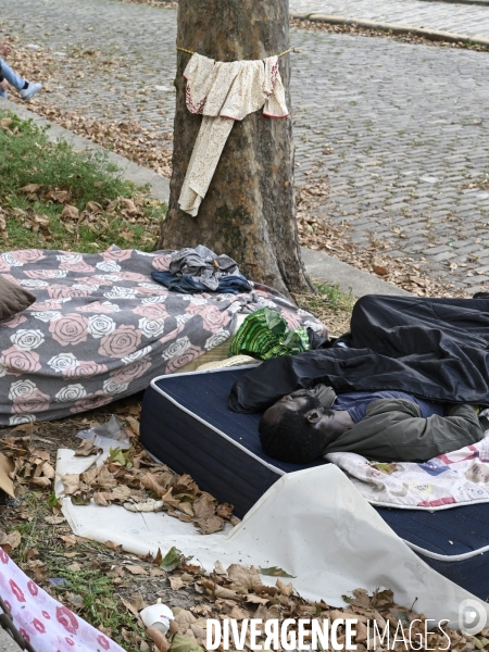 Punaises de lit, les literies sont jetées dans la rue.