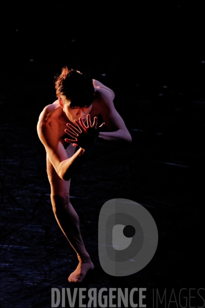 Adam  / Marwik Schmitt  / Ballet de lOpéra national du Rhin