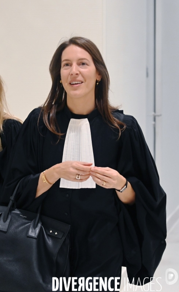 Jugement dans l affaire Griveaux/Pavlenski