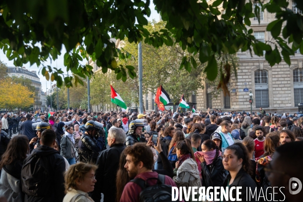 Manifestation en soutien au peuple palestinien à Paris