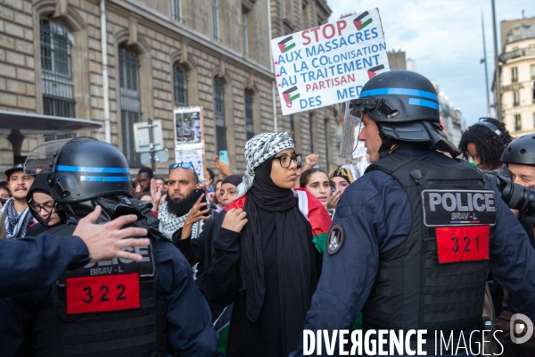 Manifestation en soutien au peuple palestinien à Paris