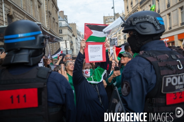 Manifestation en soutien au peuple palestinien à Paris