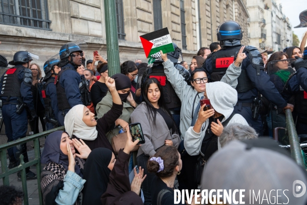 Manifestation en soutien au peuple palestinien à Paris