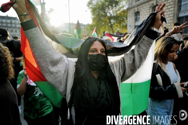 Rassemblement pro-Palestine