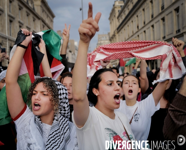 Rassemblement pro-Palestine