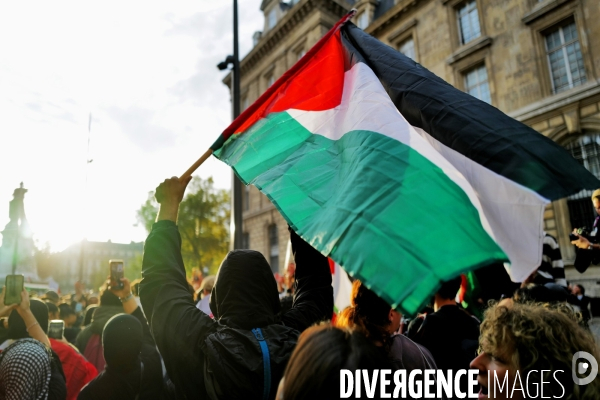 Rassemblement pro-Palestine