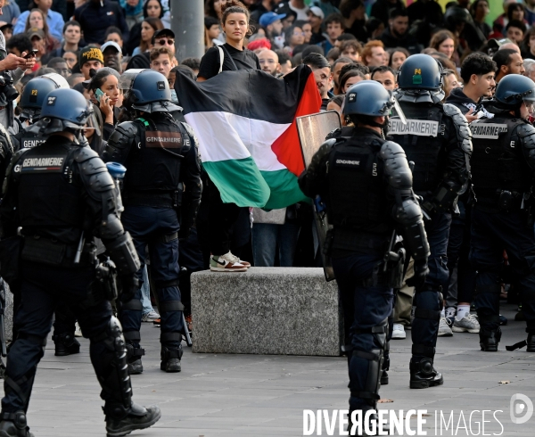 Rassemblement pro-Palestine