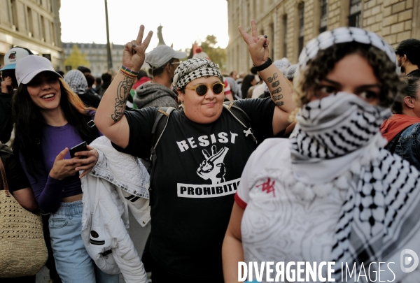 Rassemblement pro-Palestine