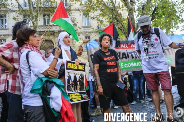 Manifestation à Bordeaux en soutien au peuple palestinien.