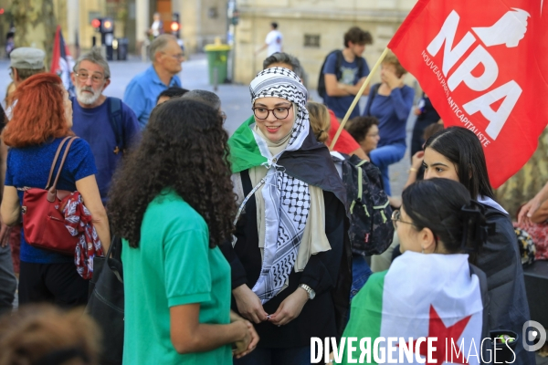 Manifestation à Bordeaux en soutien au peuple palestinien.