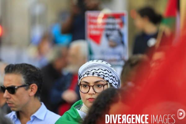Manifestation à Bordeaux en soutien au peuple palestinien.