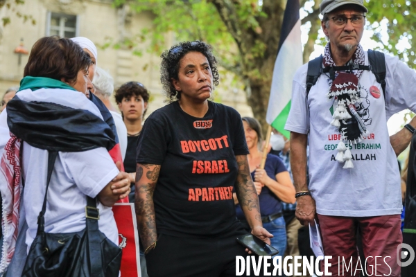 Manifestation à Bordeaux en soutien au peuple palestinien.