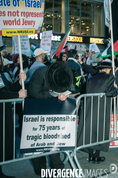 Manifestation à New York en soutien des Palestiniens et de Gaza
