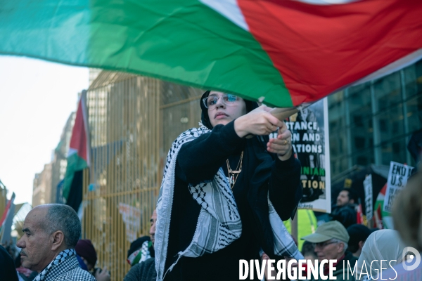 Manifestation à New York en soutien des Palestiniens et de Gaza