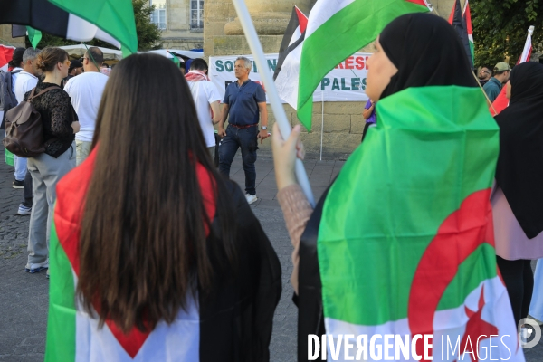 Rassemblement interdite et statique organisée par l association  France-Palestine Solidairé 