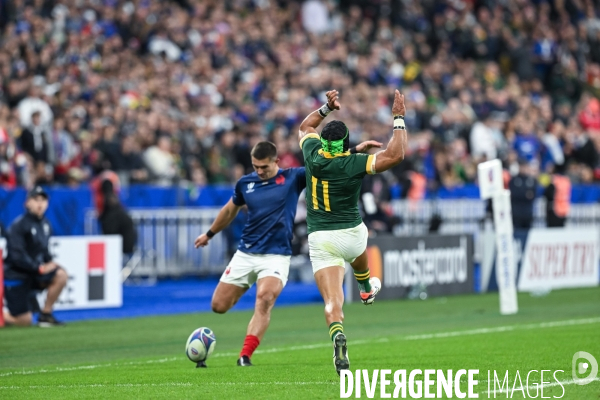 Coupe du monde de rugby france afrique du sud