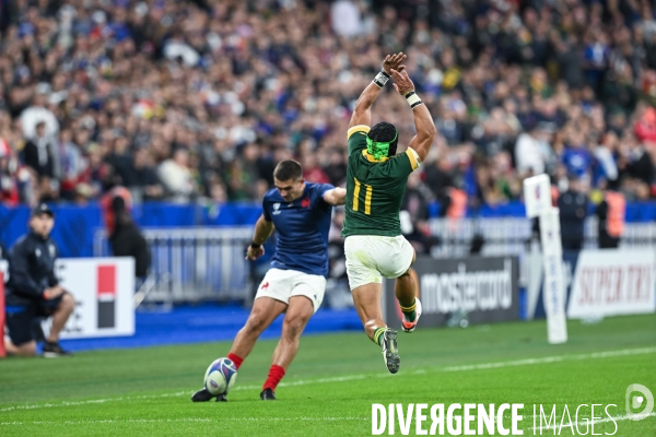 Coupe du monde de rugby france afrique du sud