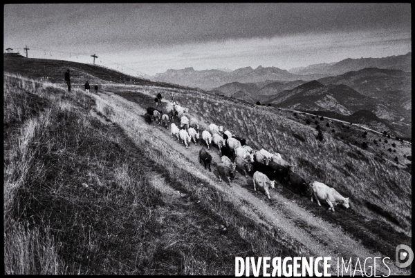Le démontagnage