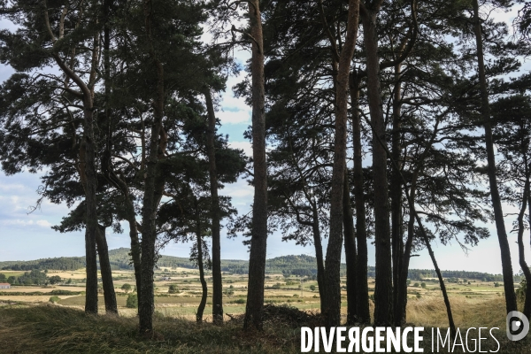 Paysage de Haute-Loire autour de Montbonnet.