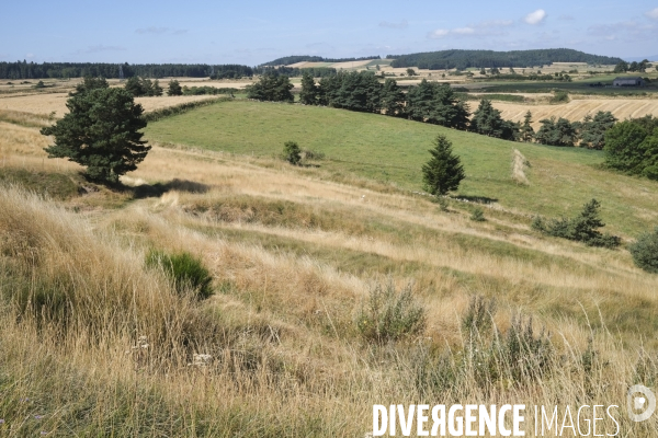 Vue à partir du village de Montbonnet en Haute-Loire.