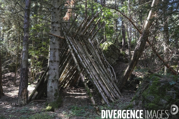 Cabane dans les bois