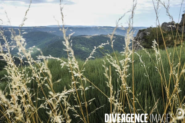 Paysage de Haute-Loire.