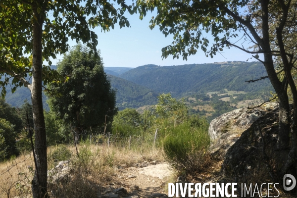 Chemin de Saint-Jacques de Compostelle en Haute-Loire