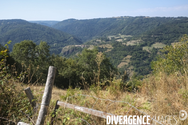 Chemin de Saint-Jacques de Compostelle en Haute-Loire