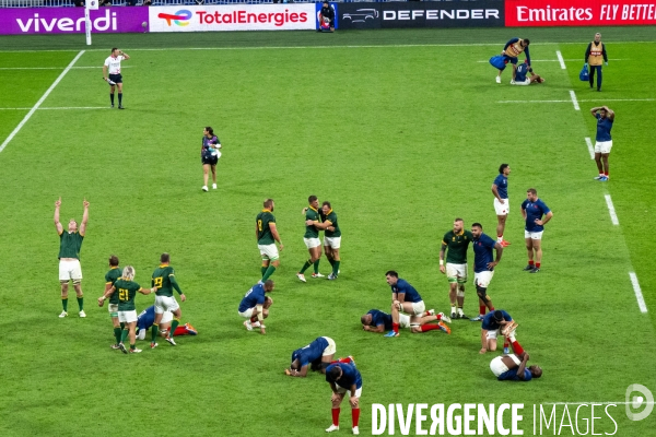 Coupe du monde de rugby france afrique du sud