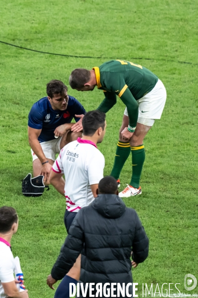 Coupe du monde de rugby france afrique du sud