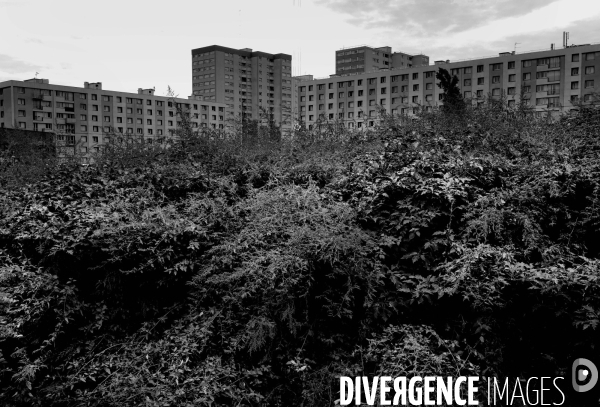 Le quartier des Malassis à Bagnolet