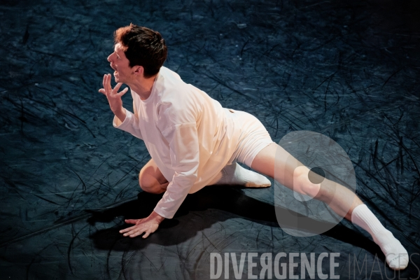 Anonyme /  Brett Fukuda / Ballet de lOpéra national du Rhin