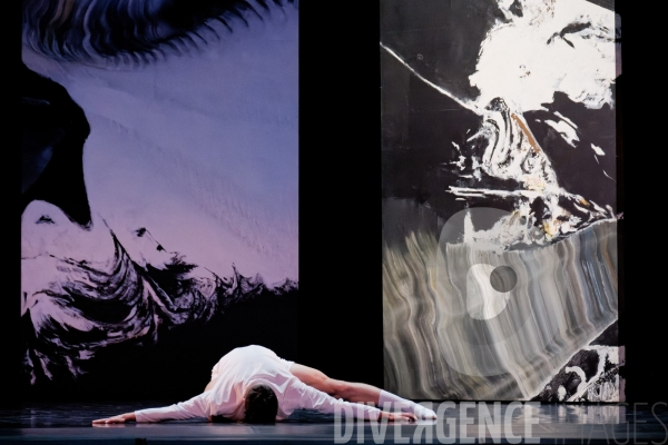 Anonyme /  Brett Fukuda / Ballet de lOpéra national du Rhin
