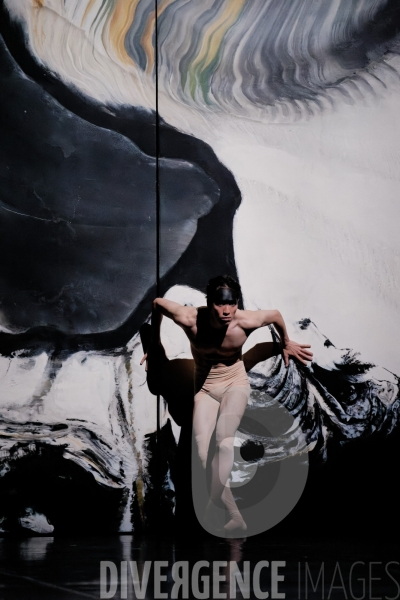 Adam  / Marwik Schmitt  / Ballet de lOpéra national du Rhin