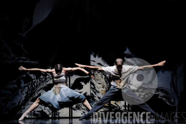 Thérapie de couple /  Alain Trividic   / Ballet de lOpéra national du Rhin