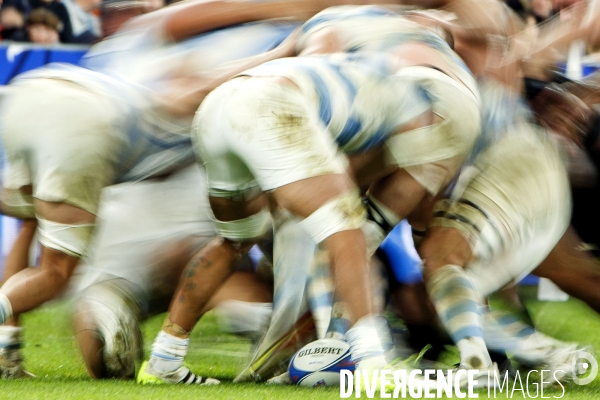 Coupe du monde de rugby 2023, 1/2 finale Argentine-Nouvelle-Zélande