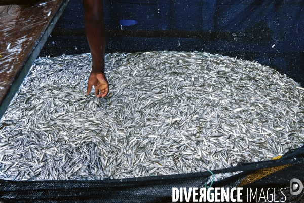 Pêche traditionnelle au mozambique