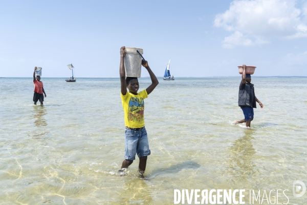 Pêche traditionnelle au mozambique