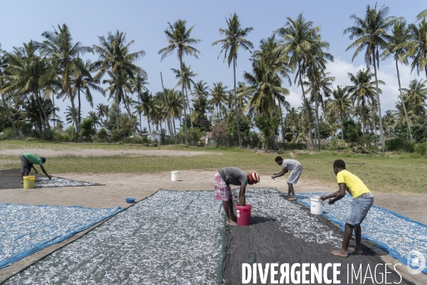 Pêche traditionnelle au mozambique