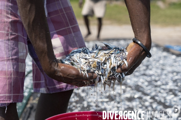 Pêche traditionnelle au mozambique