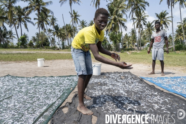 Pêche traditionnelle au mozambique